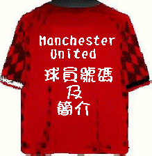 ballshirt.jpg (8025 bytes)